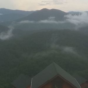 Meet your Posher, Damion